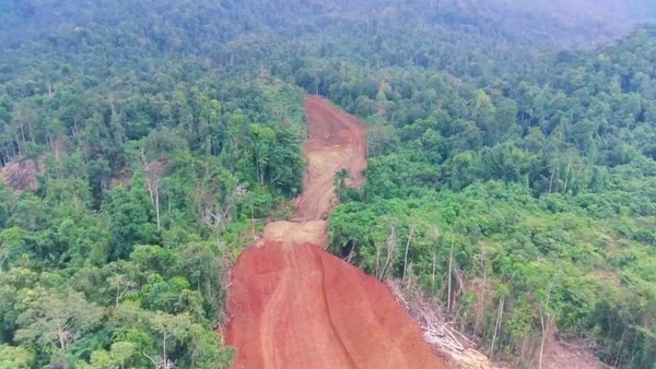 Mengenal Togutil: Suku Terpencil di Halmahera Timur